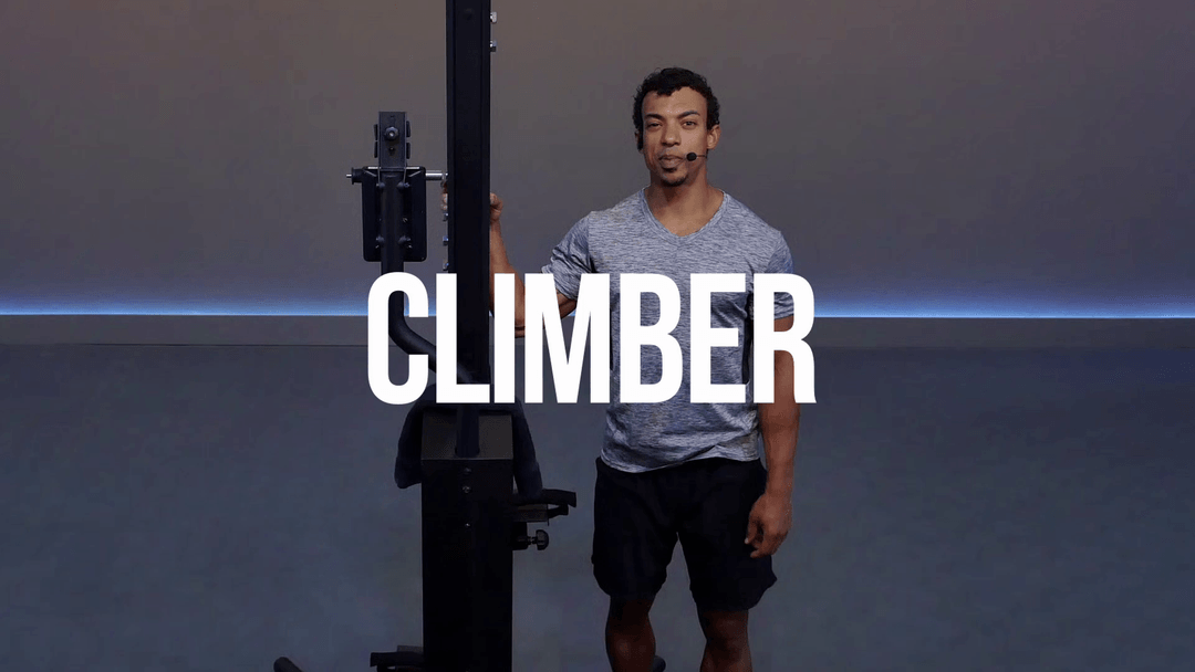 VERTICAL CLIMBER