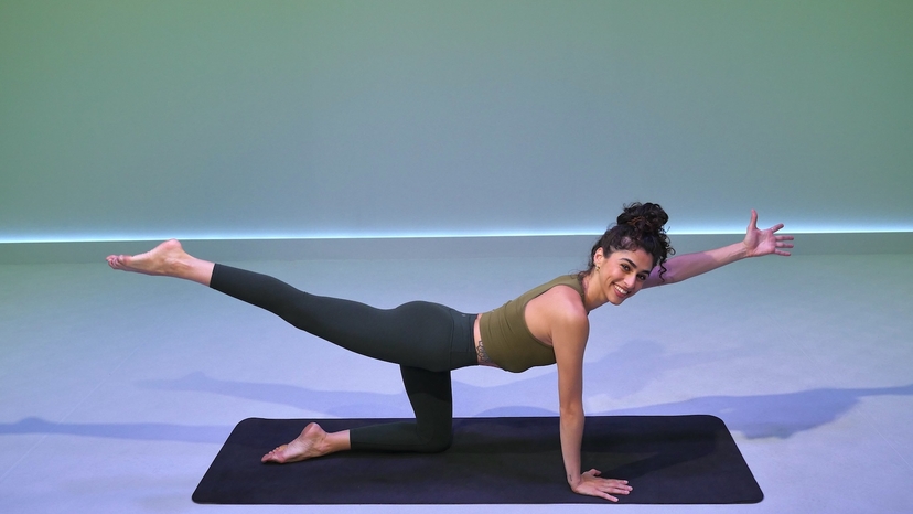 45 Min Arms Abs & Glutes #40